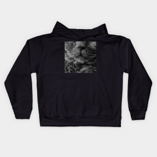 Persian cat Kids Hoodie